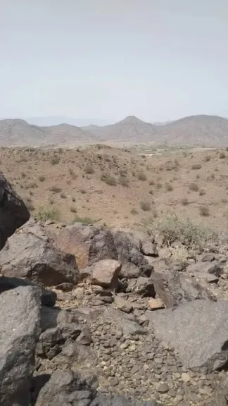 مقتل طفل وإصابة امرأة بسبب نزاع قبلي في عمران